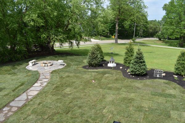 New sod lawn with mulched landscape beds