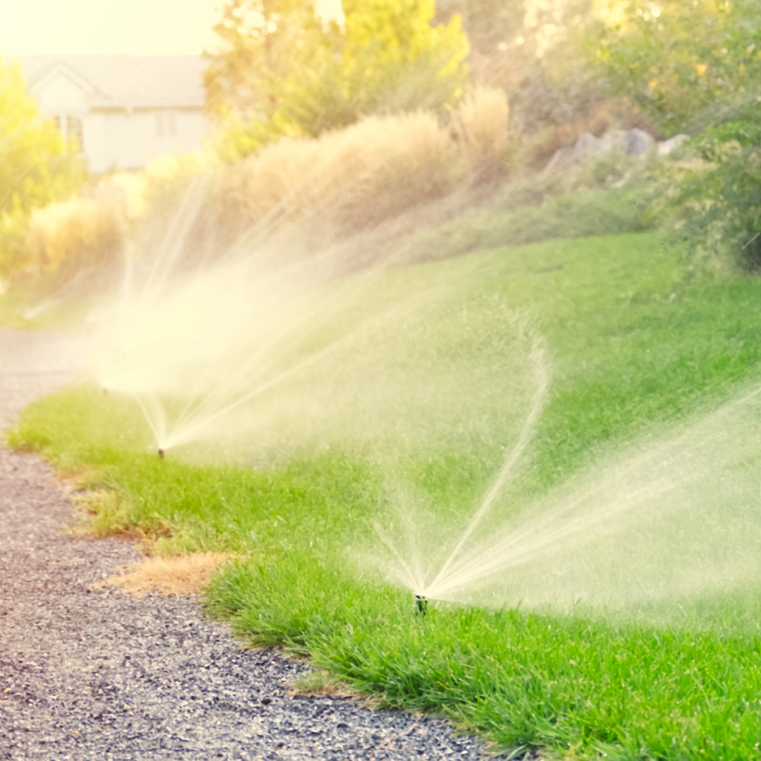 Lawn being watered by sprinkler system