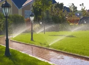 imgi_10_Screen Shot 2021-03-17 at 8_18_02 PM