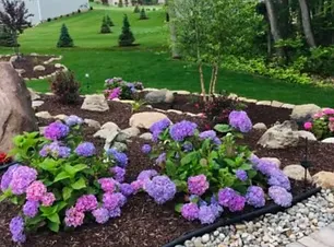 imgi_7_Screen Shot 2021-03-16 at 4_20_33 PM