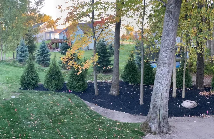 Professional Landscaping Services